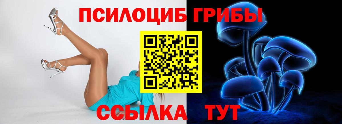 Галлюциногенные грибы Psilocybe  Вход с VPN  Семёнов 