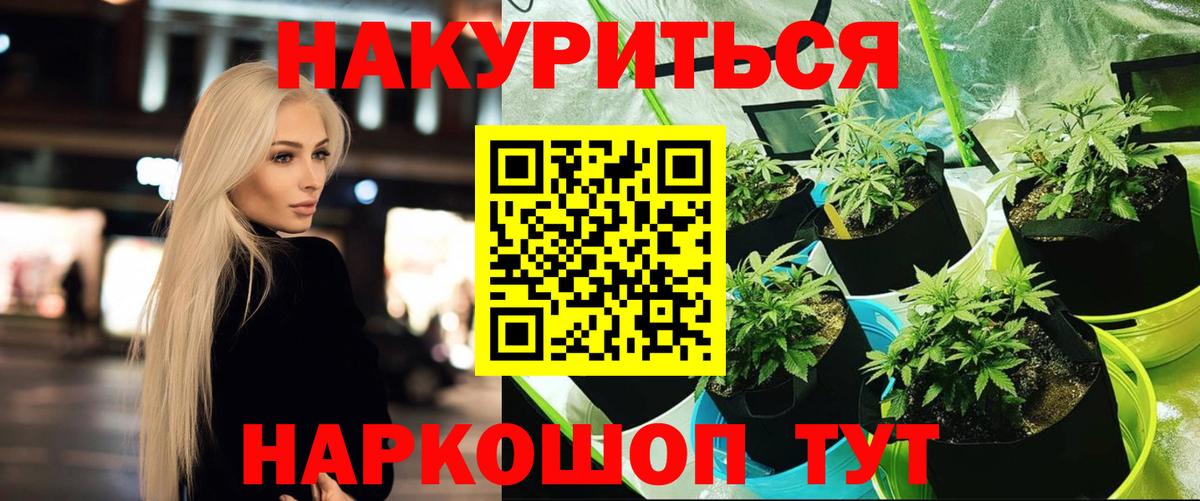 Семёнов  Канабис планчик  Канабис Bruce Banner  Вход с VPN  Бошки марихуана планчик 